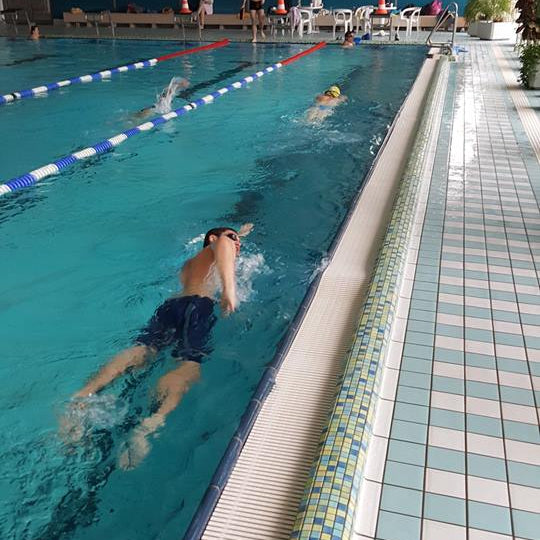 Ein männlicher Schwimmer beim Kraulschwimmen, Aufnahme von schräg-hinten