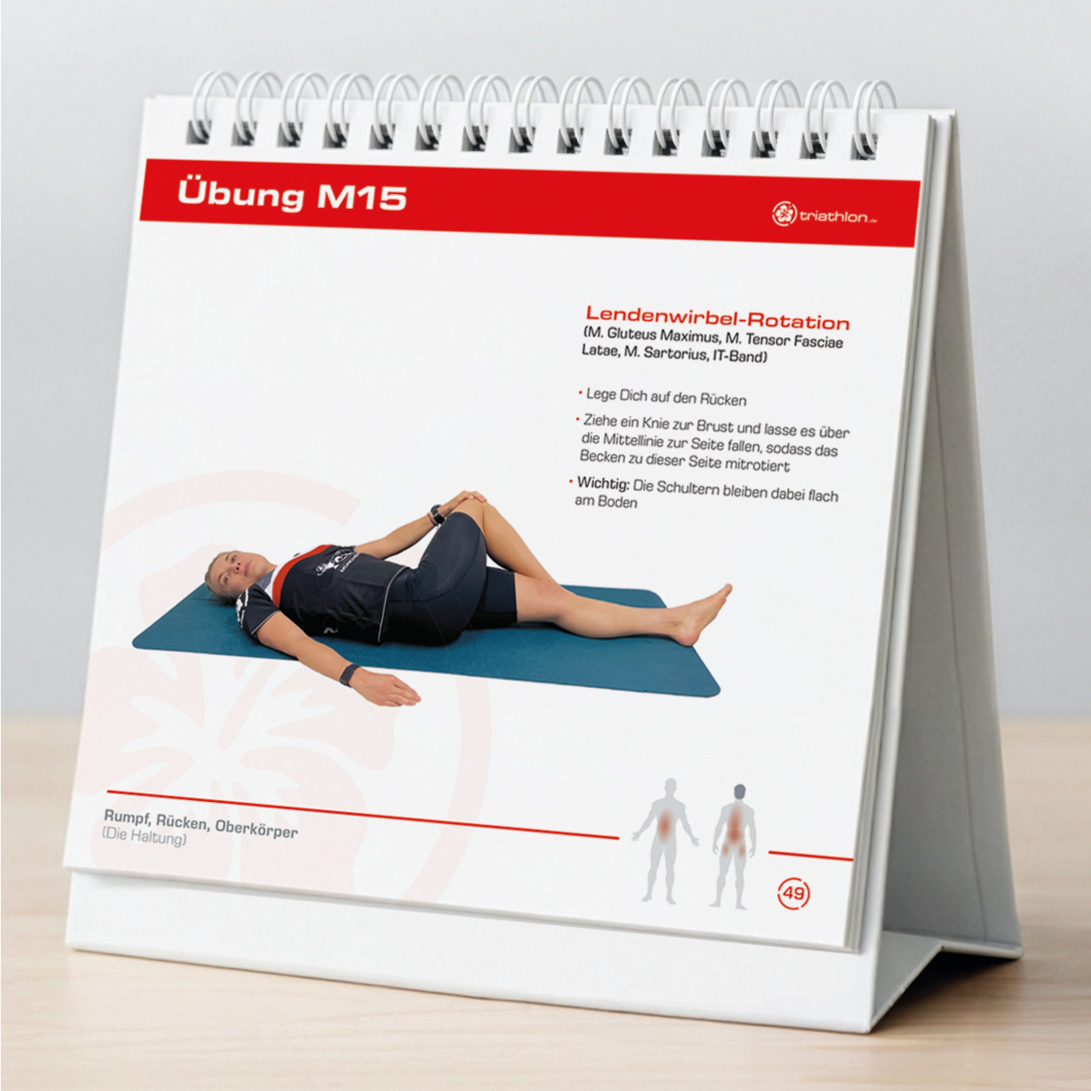 Workbook Stabilität & Mobilität