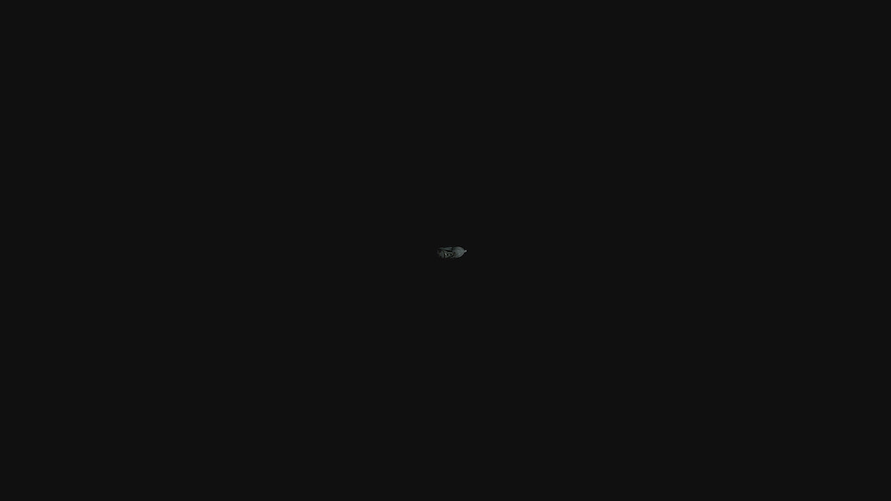 Video SH-IC100